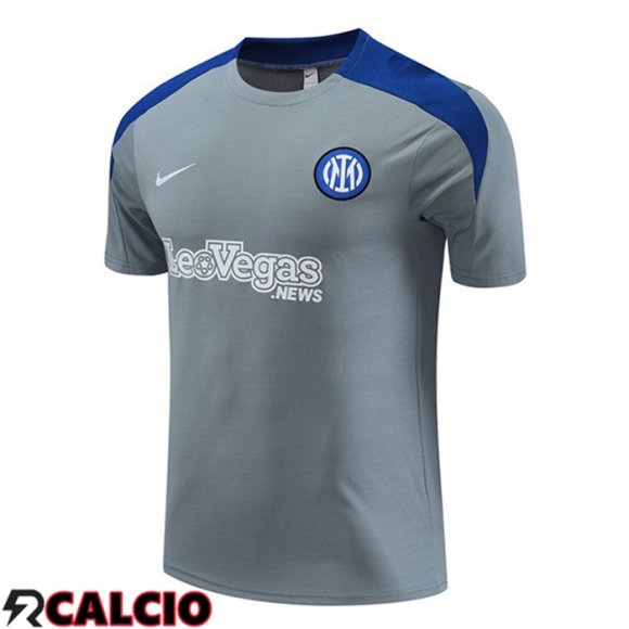 T Shirt Allenamento Inter Milan Grigio 2024/2025