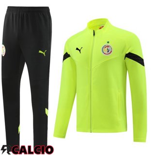 Insieme Tuta Calcio - Giacca Senegal Verde 2023/2024