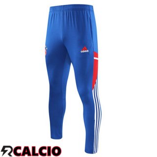 Pantaloni Da Allenamento Bayern Monaco Blu 2023/2024  Pantaloni Da Allenamento Bayern Monaco Blu 2023/2024