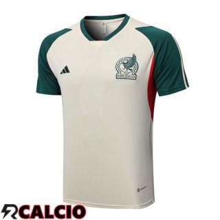 T Shirt Allenamento Messico Marrone 2023/2024