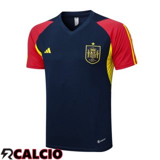 T Shirt Allenamento Spagna Blu Reale 2023/2024  T Shirt Allenamento Spagna Blu Reale 2023/2024