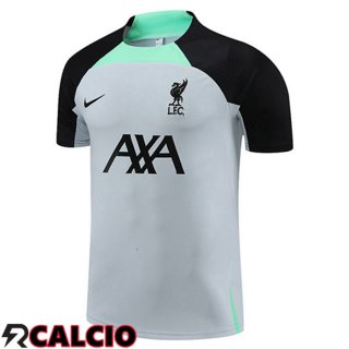 T Shirt Allenamento FC Liverpool Grigio 2023/2024