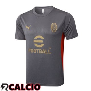 T Shirt Allenamento AC Milan Grigio 2025/2026