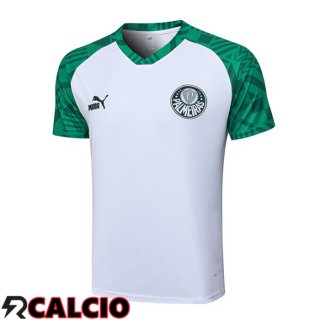 T Shirt Allenamento Palmeiras Bianco 2023/2024  T Shirt Allenamento Palmeiras Bianco 2023/2024