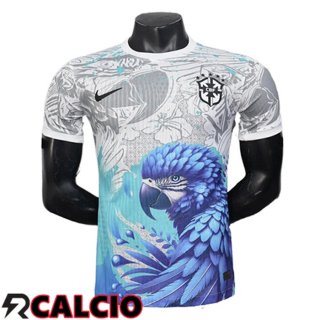 Maglia Brasile Edizione Speciale Grigio/Blu 2025/2026
