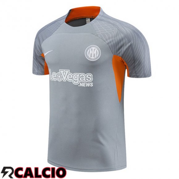 T Shirt Allenamento Inter Milan Grigio 2024/2025