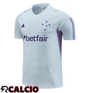 T Shirt Allenamento Cruzeiro EC Grigio 2023/2024