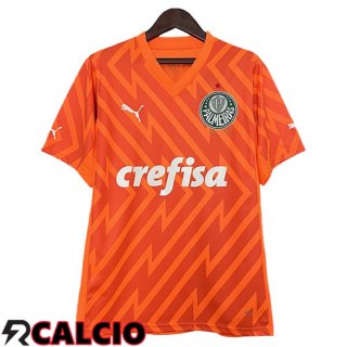 Maglie Calcio Palmeiras Portiere Arancia 2024/2025
