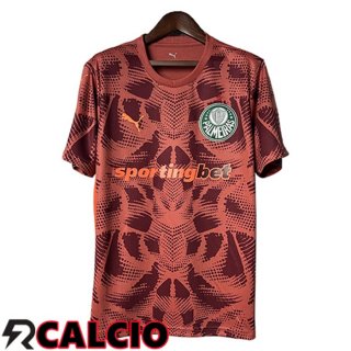 Maglia Palmeiras Portiere Rosso 2025/2026