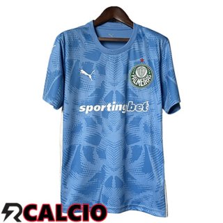 Maglia Palmeiras Portiere Blu 2025/2026