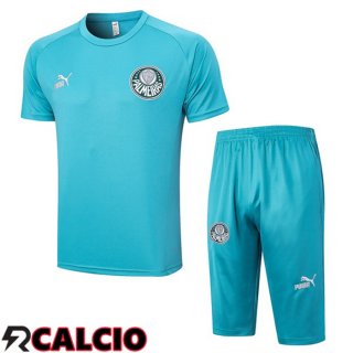 T Shirt Allenamento Palmeiras + Pantaloncini Cyan 2023/2024  T Shirt Allenamento Palmeiras + Pantaloncini Cyan 2023/2024
