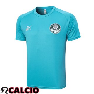 T Shirt Allenamento Palmeiras Cyan 2023/2024  T Shirt Allenamento Palmeiras Cyan 2023/2024
