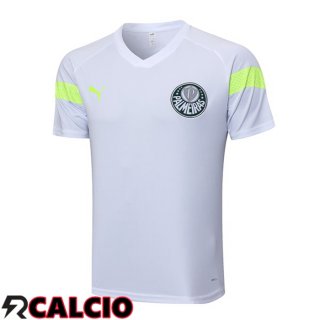 T Shirt Allenamento Palmeiras Bianco 2023/2024  T Shirt Allenamento Palmeiras Bianco 2023/2024