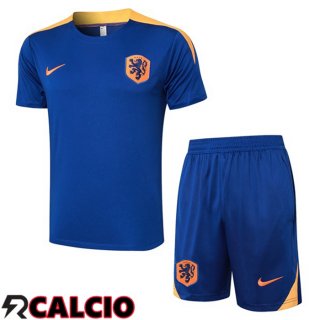 T Shirt Allenamento Paesi Bassi + Pantaloncini Blu Reale 2024/2025