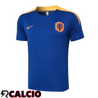 T Shirt Allenamento Paesi Bassi Blu Reale 2024/2025