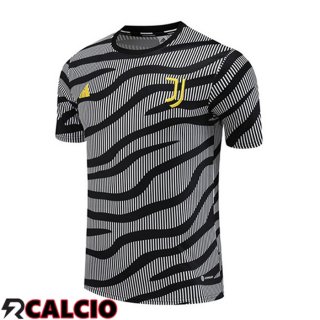 T Shirt Allenamento Juventus Nero Grigio 2023/2024