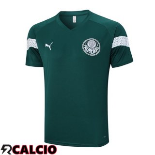 T Shirt Allenamento Palmeiras Verde 2023/2024  T Shirt Allenamento Palmeiras Verde 2023/2024