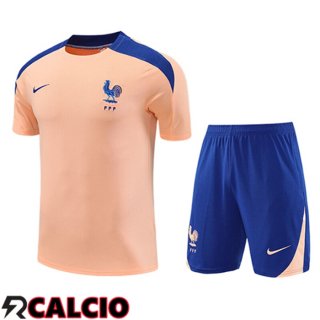 Insieme T Shirt Allenamento Francia Bambino Rosa/Blu 2025/2026