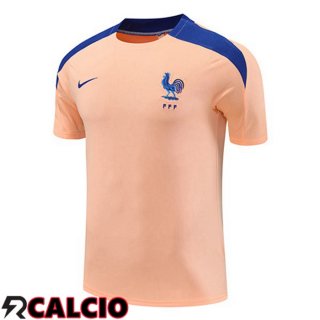 T Shirt Allenamento Francia Rosa 2025/2026