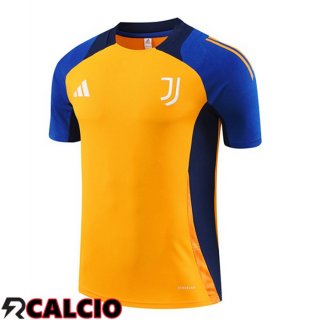 T Shirt Allenamento Juventus Giallo 2024/2025