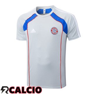 T Shirt Allenamento Bayern Monaco Grigio 2025/2026