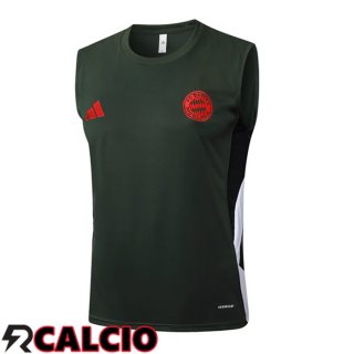 Canotta Allenamento Bayern Monaco Verde 2025/2026