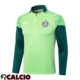 Felpa Allenamento Palmeiras Verde 2024/2025