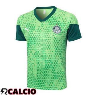 T Shirt Allenamento Palmeiras Verde 2024/2025  T Shirt Allenamento Palmeiras Verde 2024/2025