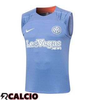 Canotta Allenamento Inter Milan Grigio 2024/2025