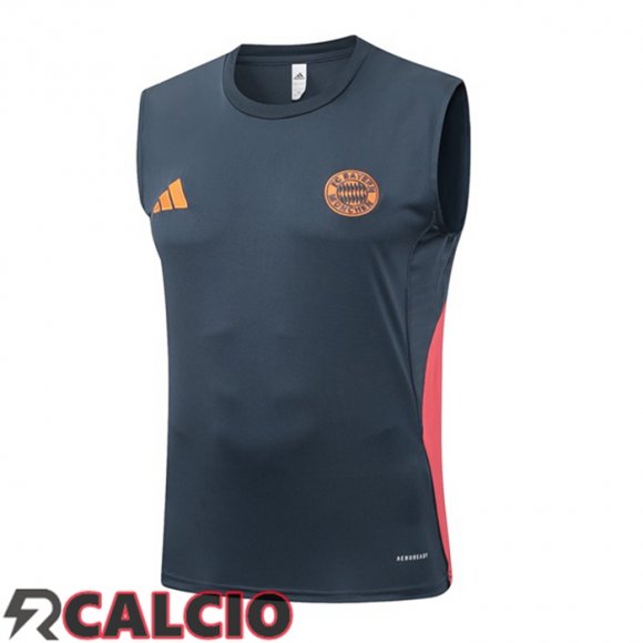 Canotta Allenamento Bayern Monaco Grigio 2025/2026  Canotta Allenamento Bayern Monaco Grigio 2025/2026