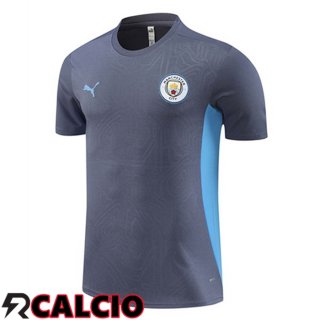 T Shirt Allenamento Manchester City Grigio 2024/2025