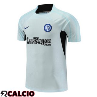 T Shirt Allenamento Inter Milan Grigio 2023/2024  T Shirt Allenamento Inter Milan Grigio 2023/2024