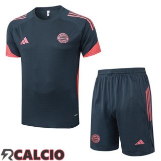 Insieme T Shirt Allenamento Bayern Monaco + Pantaloncini Grigio 2025/2026  Insieme T Shirt Allenamento Bayern Monaco + Pantaloncini Grigio 2025/2026