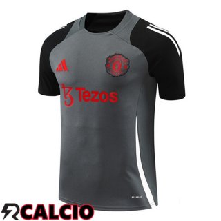 T Shirt Allenamento Manchester United Grigio 2024/2025