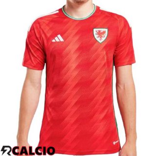 Prima Maglie Calcio Galles Rosso 2022/2023  Prima Maglie Calcio Galles Rosso 2022/2023
