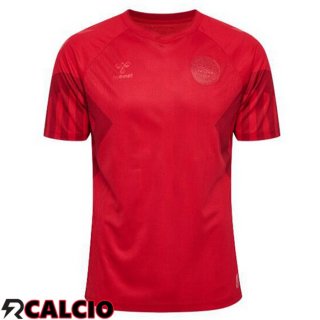Prima Maglie Calcio Danimarca Rosso Coppa Del Mondo 2022