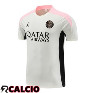 T Shirt Allenamento Paris PSG Grigio 2024/2025