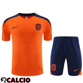 T Shirt Allenamento Paesi Bassi + Pantaloncini Arancia 2023/2024