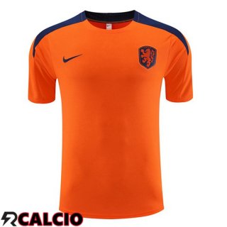 T Shirt Allenamento Paesi Bassi Arancia 2023/2024