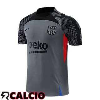 T Shirt Allenamento FC Barcellona Grigio 2022/2023  T Shirt Allenamento FC Barcellona Grigio 2022/2023
