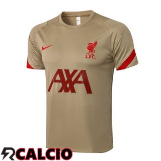 T Shirt Allenamento FC Liverpool Giallo 2021/2022